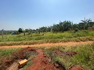 Namulonge -busu