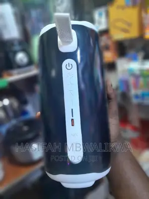Pulse 5 Wireless Speaker
