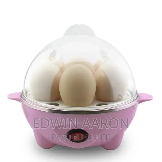 Electric Egg Boiler