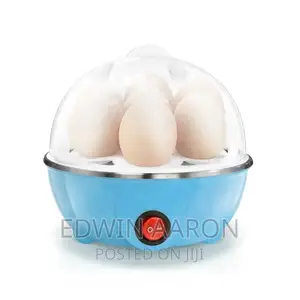 Electric Egg Boiler