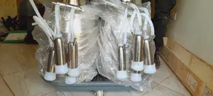 Milking Double Machine