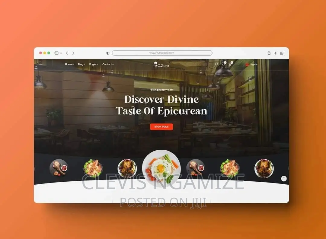 Website Designer and Developer