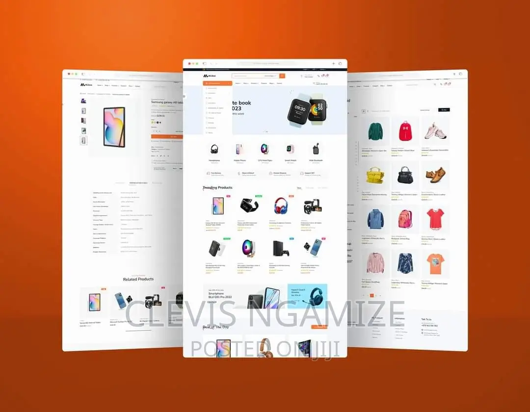 Website Designer and Developer