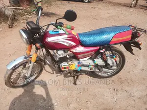 Shineray XY110-A 2015 Red