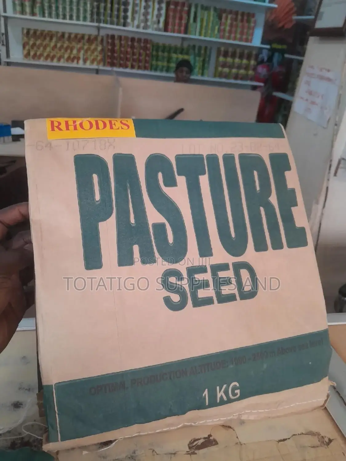 Pasture Seeds- Rhodes -1kg