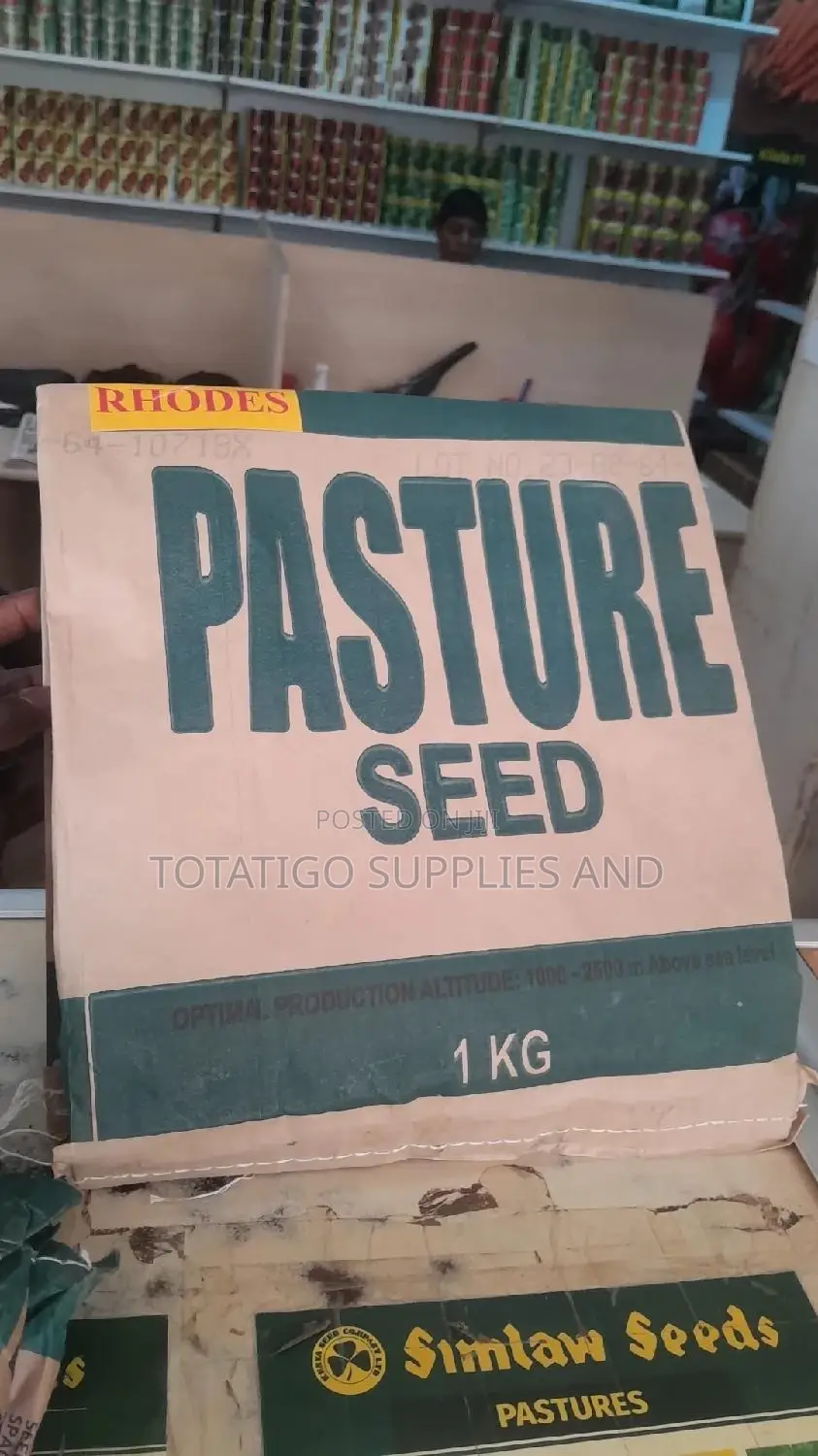 Pasture Seeds- Rhodes -1kg