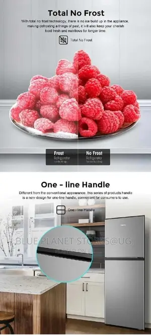 HISENSE 222L Double Door Fridges \\ Frost Free \\ RT222N4CGN