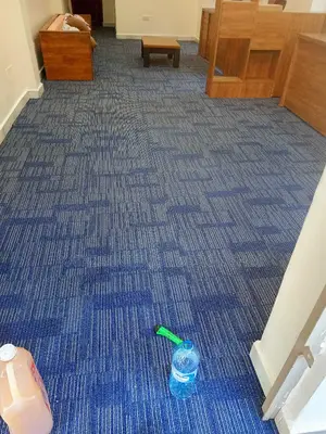 PVC Woolen Carpets/Woolen Carpets/PVC Woolen