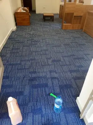PVC Woolen Carpets/Woolen Carpets/PVC Woolen