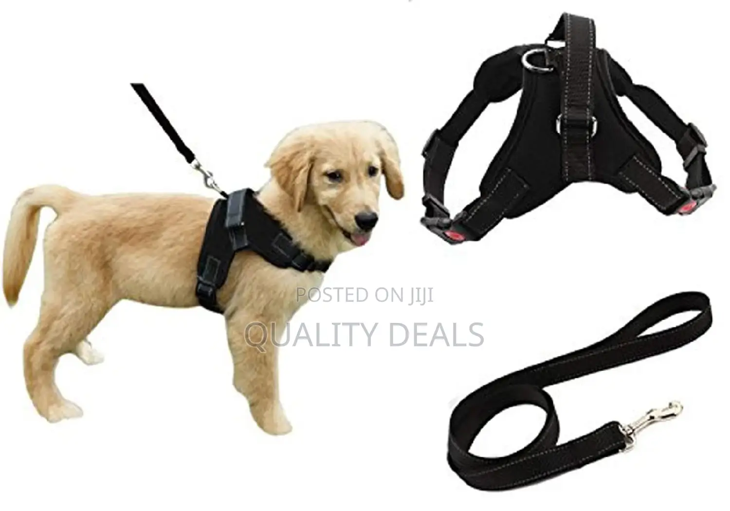 Adjustable Dog Harness and Leash