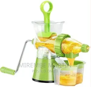 Juicer Fruits Vegetable Blender, 250ml