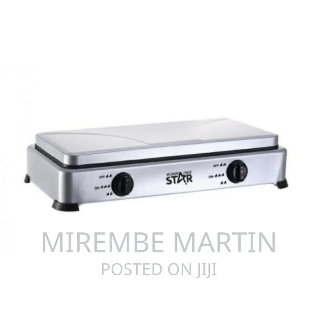 Winning Star 2 Burner Gas Cooking Stove With Lid-Grey