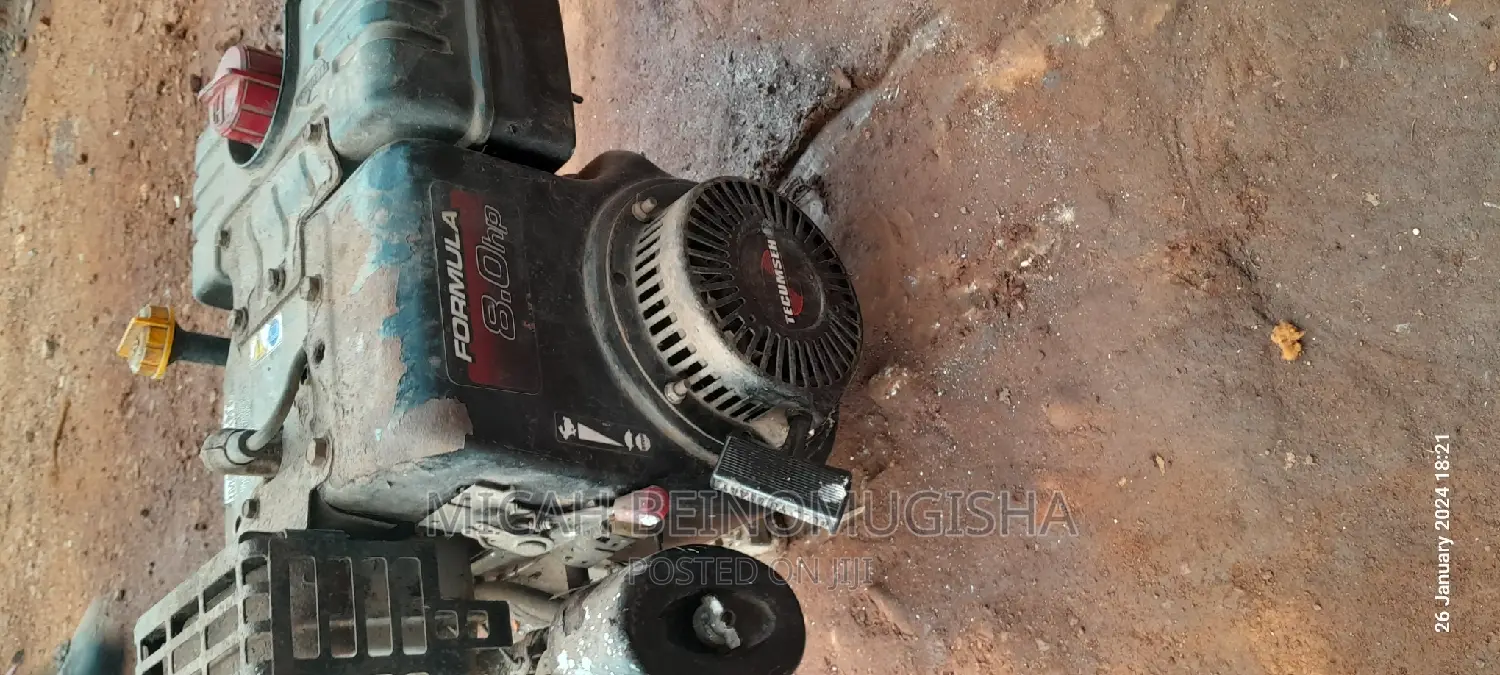 Petrol Vibrator Engine Repair