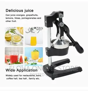 Commercial Fruit Juice Squeezer