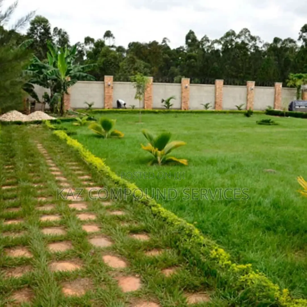 Landlandscaping for Modern Compound