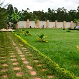 Landlandscaping for Modern Compound