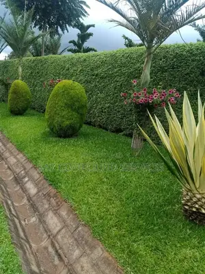 Landlandscaping for Modern Compound