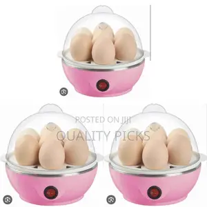 Electric Egg Boiler
