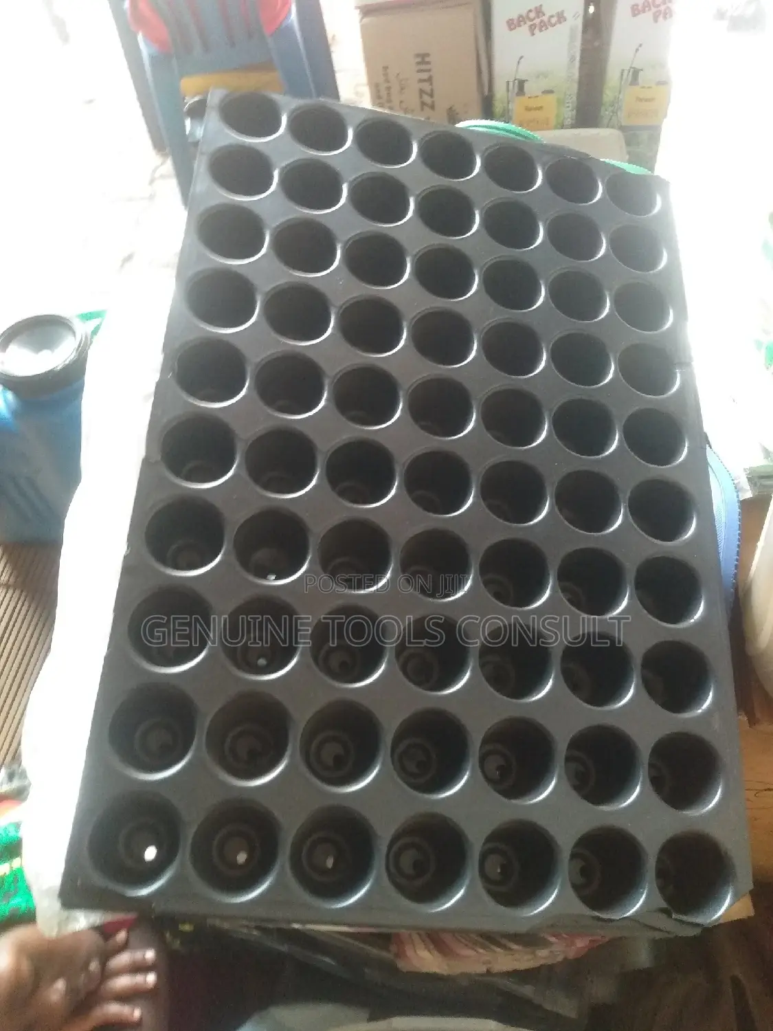 Seed Trays