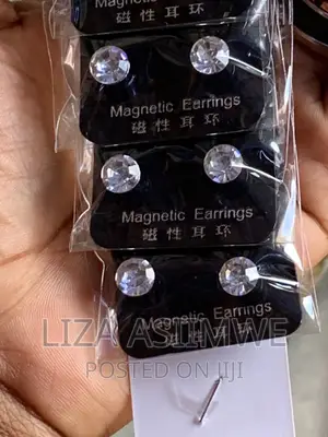 Photo - Ice Magnetic Earpins