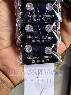 Ice Magnetic Earpins