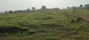 50by100, 17M, Ready Title in Wakiso-Kikandwa