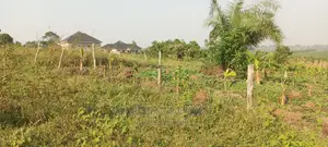 50by100, 17M, Ready Title in Wakiso-Kikandwa