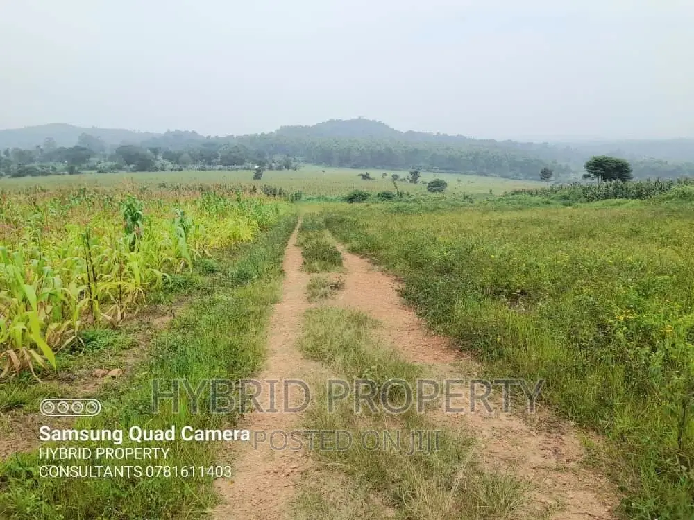 Prime Plots for Sale at Kaliiti~Kakiri Land Estate~Hoima Rd.