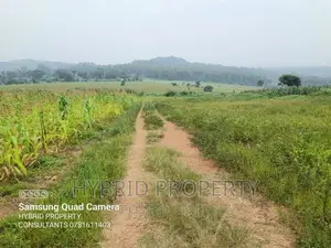 Prime Plots for Sale at Kaliiti~Kakiri Land Estate~Hoima Rd.