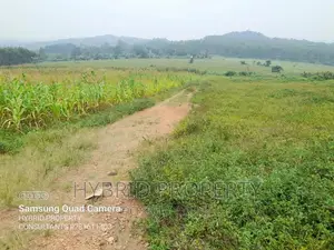 Prime Plots for Sale at Kaliiti~Kakiri Land Estate~Hoima Rd.