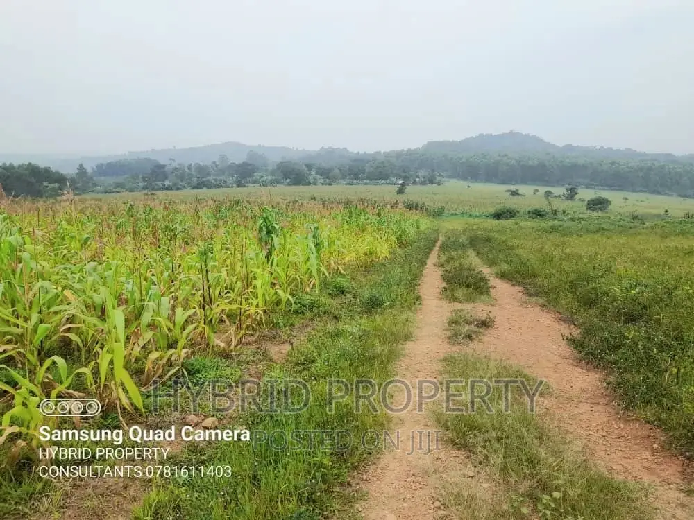 Prime Plots for Sale at Kaliiti~Kakiri Land Estate~Hoima Rd.