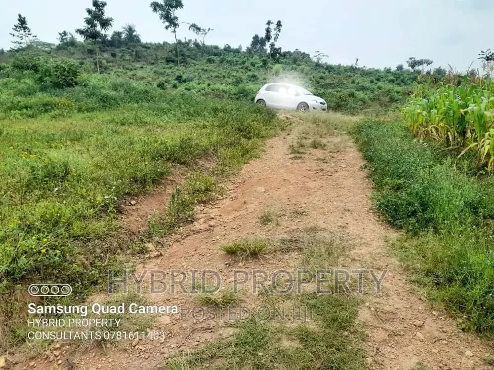 Prime Plots for Sale at KaliitiKakiri Land EstateHoima Rd. in Kakiri