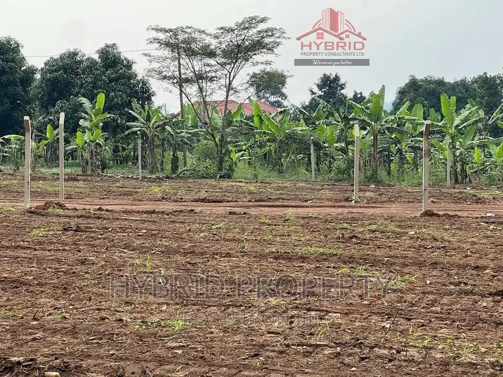 Prime Plots for Sale Gayaza~Kiwenda [Balita]~Gayaza Road II.