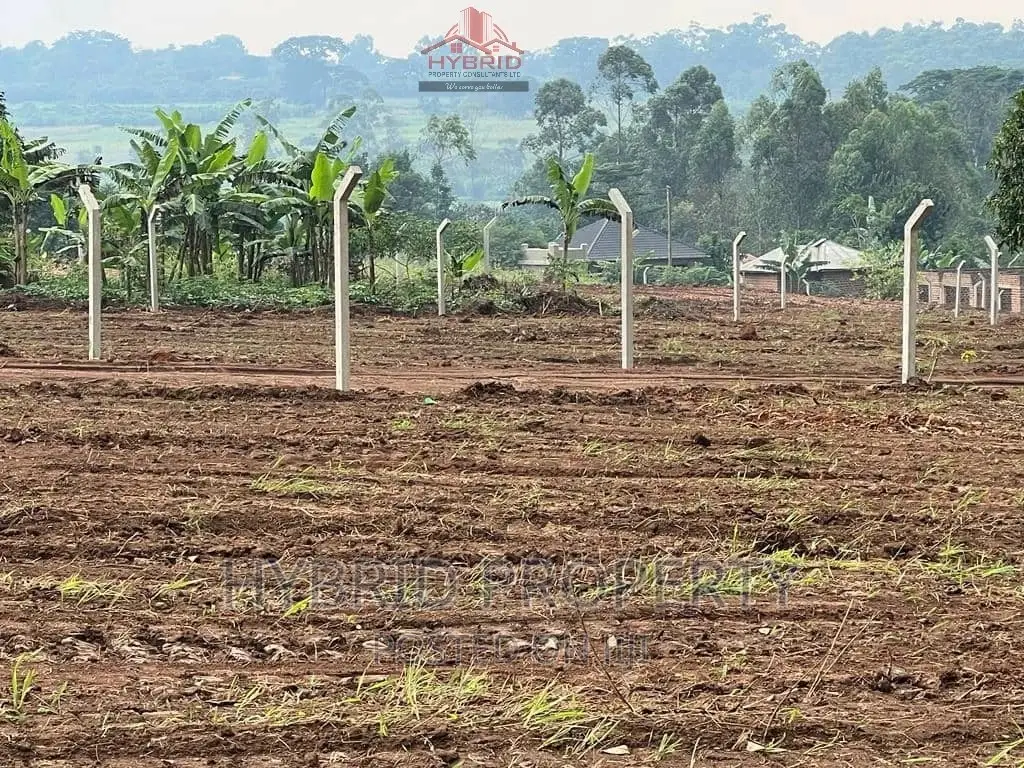 Prime Plots for Sale Gayaza~Kiwenda [Balita]~Gayaza Road II.