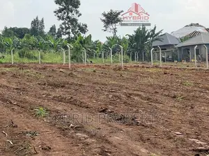 Prime Plots for Sale Gayaza~Kiwenda [Balita]~Gayaza Road II.