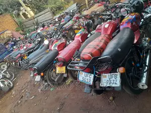 Bajaj CT 110X 2023 Red