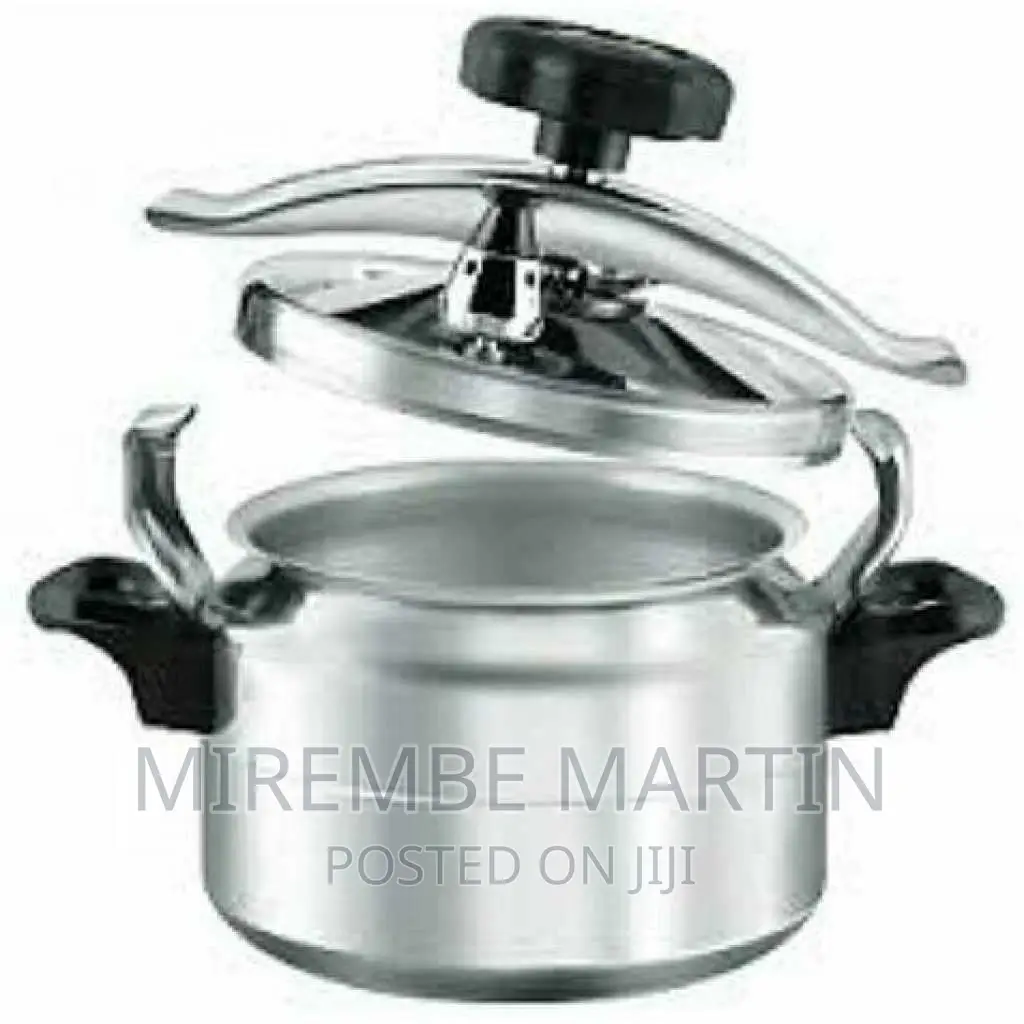 Regina 20L Stainless Steel Pressure Cooker Saucepan