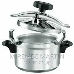 Regina 20L Stainless Steel Pressure Cooker Saucepan