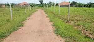 Prime Plots for Sale at Busiika~Wabikokoma Along Gayaza Road