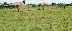 Prime Plots for Sale at Busiika~Wabikokoma Along Gayaza Road