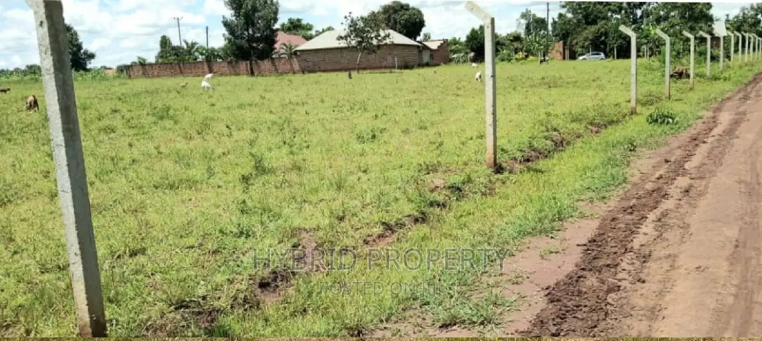 Prime Plots for Sale at Busiika~Wabikokoma Along Gayaza Road