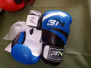Boxing Gloves BN Original Material All Colours