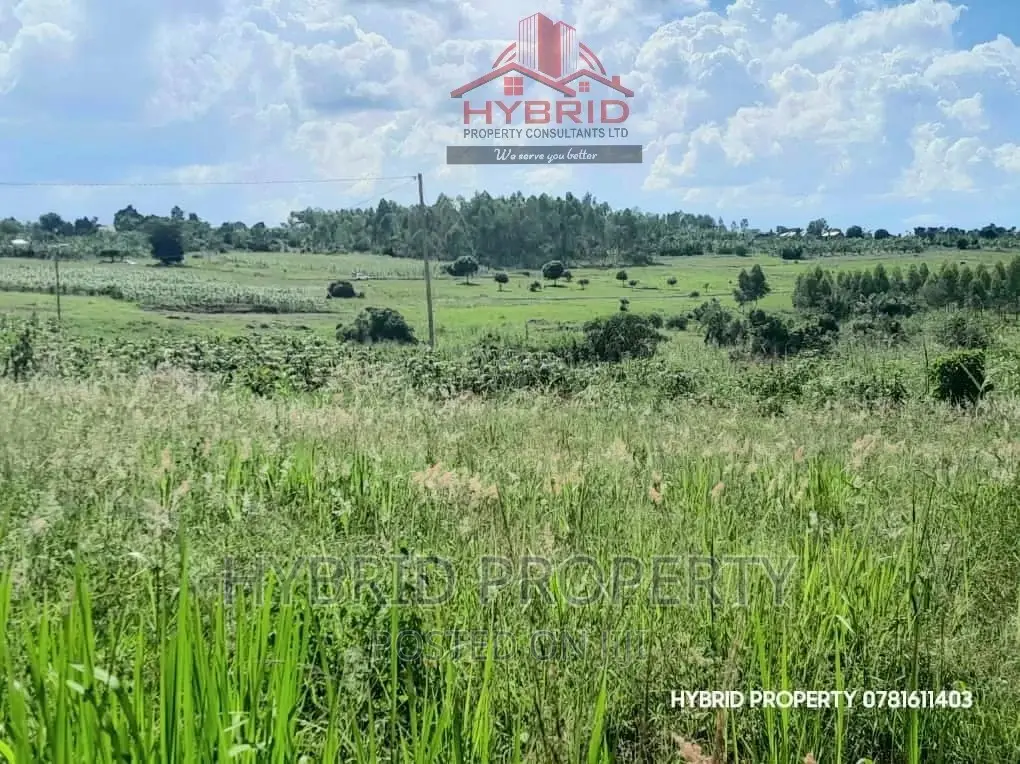 Prime Plots for Sale at Our Busiika~Vumba Along Gayaza Road.