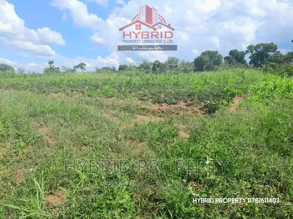 Prime Plots for Sale at Our Busiika~Vumba Along Gayaza Road.
