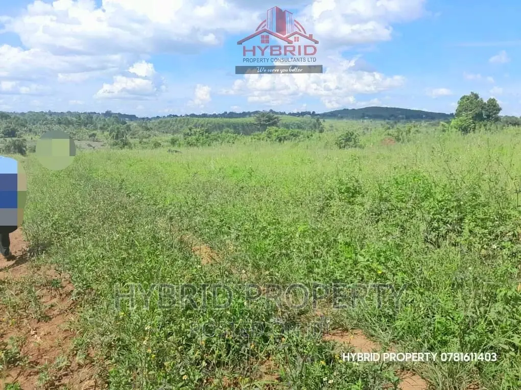 Prime Plots for Sale at Our Busiika~Vumba Along Gayaza Road.