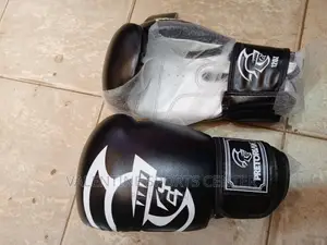 Boxing Champion Gloves Original Material