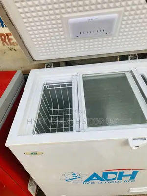 Fridge Servicing