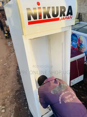 Affordable Fridge Repair Services