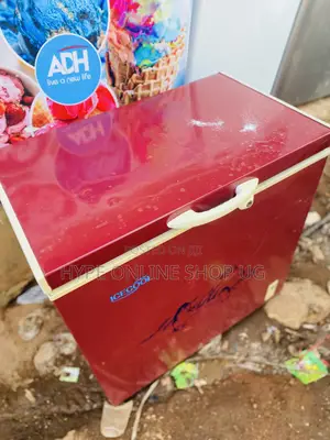 Gas and Other Fridge Repair Services