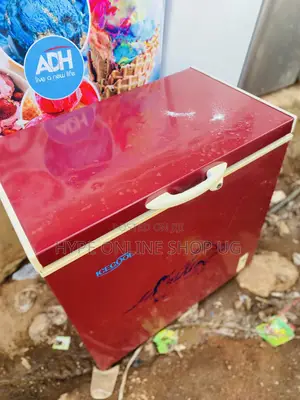 Gas and Other Fridge Repair Services
